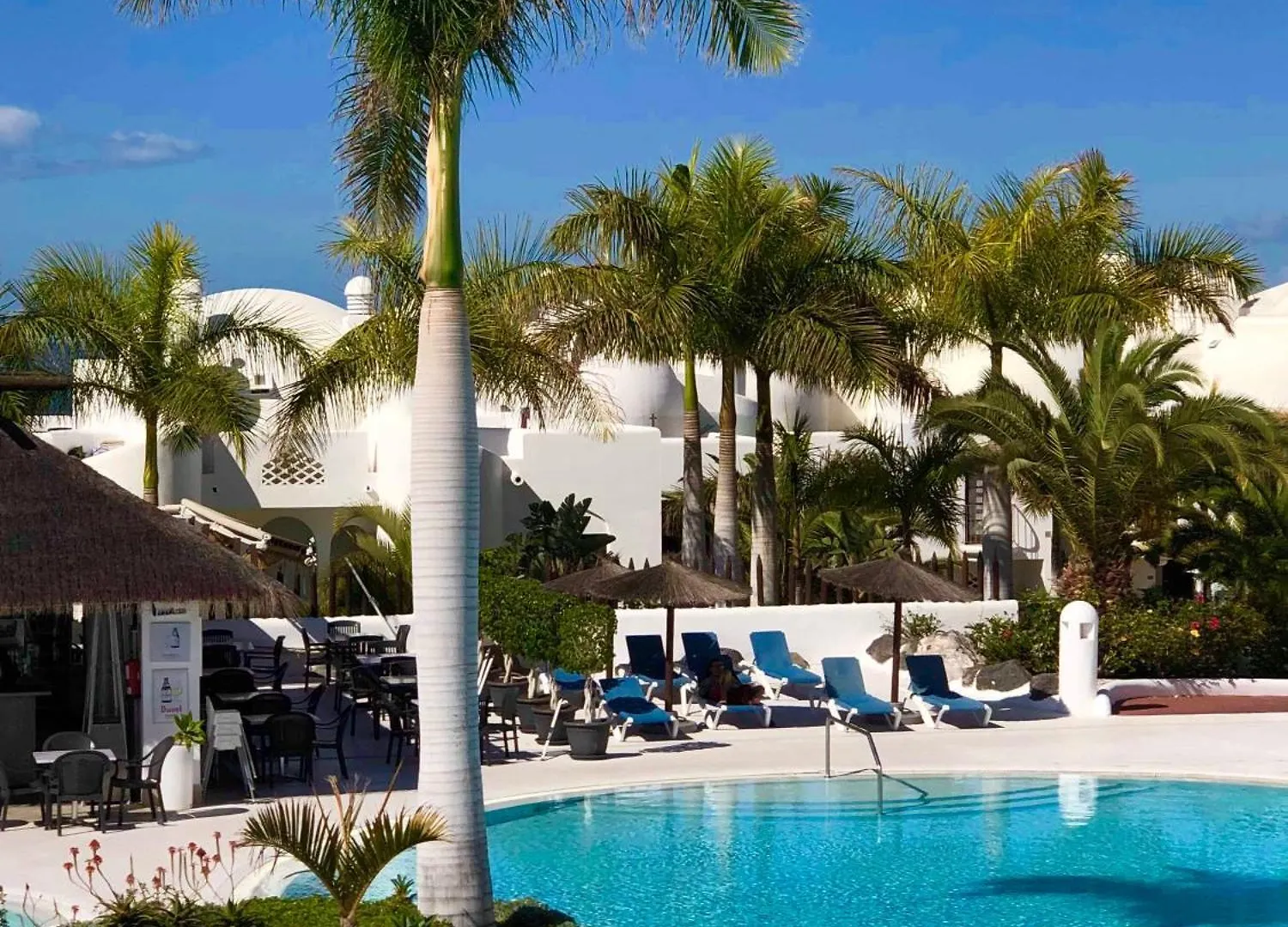 Playa Paraiso أذيخي